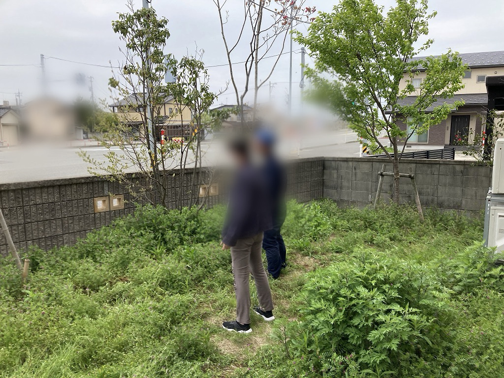 雑草対策