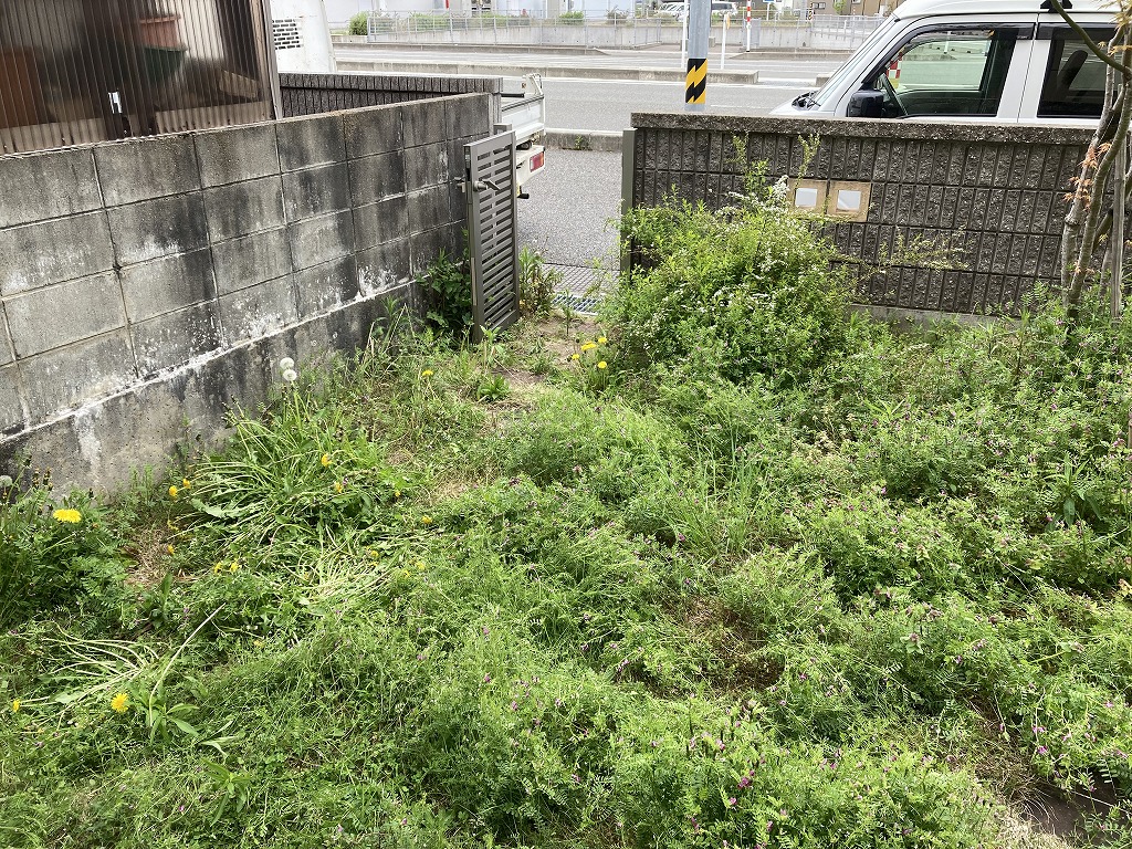 雑草対策