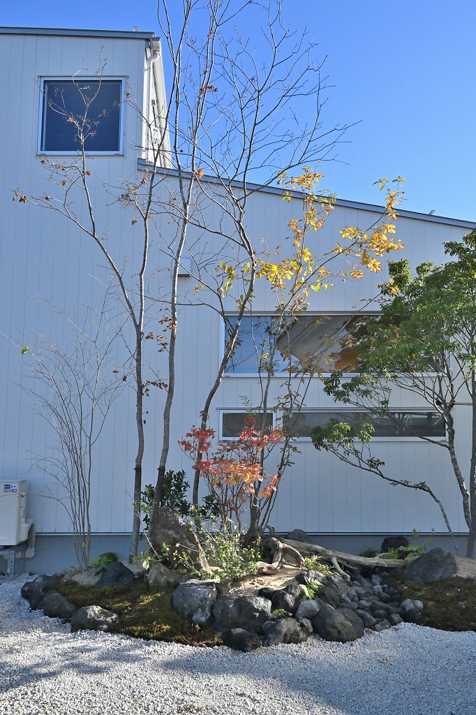 植栽工事 自然樹形 山採り 自然な雰囲気 森 森のような雰囲気