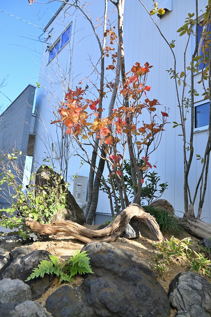 植栽工事 自然樹形 山採り 自然な雰囲気 森 森のような雰囲気