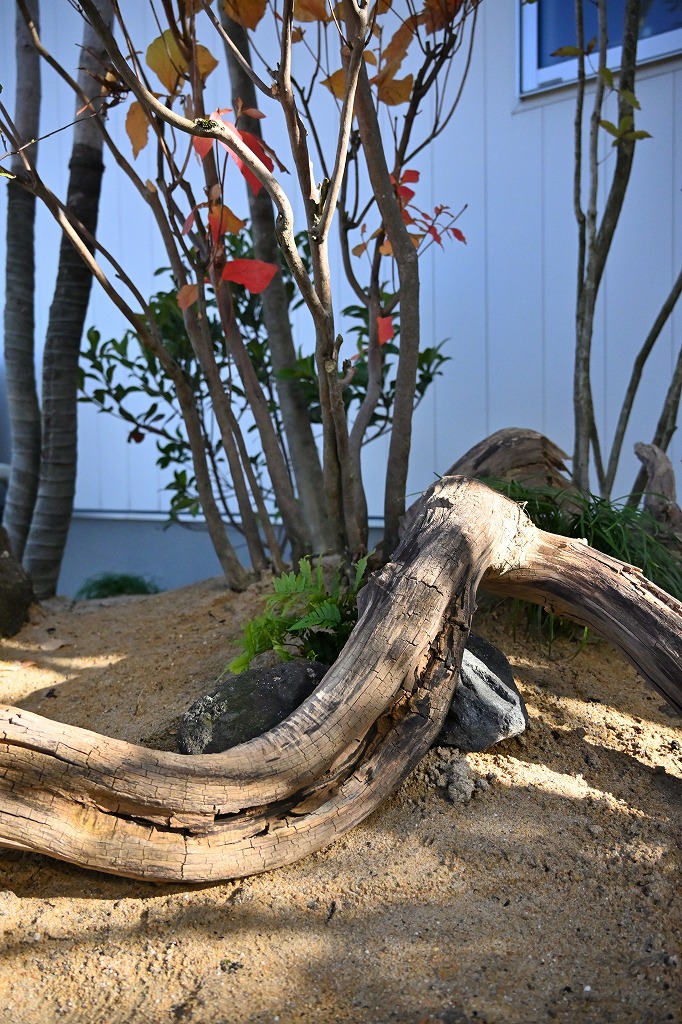 植栽工事 自然樹形 山採り 自然な雰囲気 森 森のような雰囲気