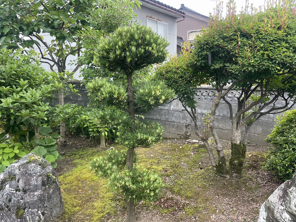 庭じまい ブロック塀解体 防災 アルミフェンス