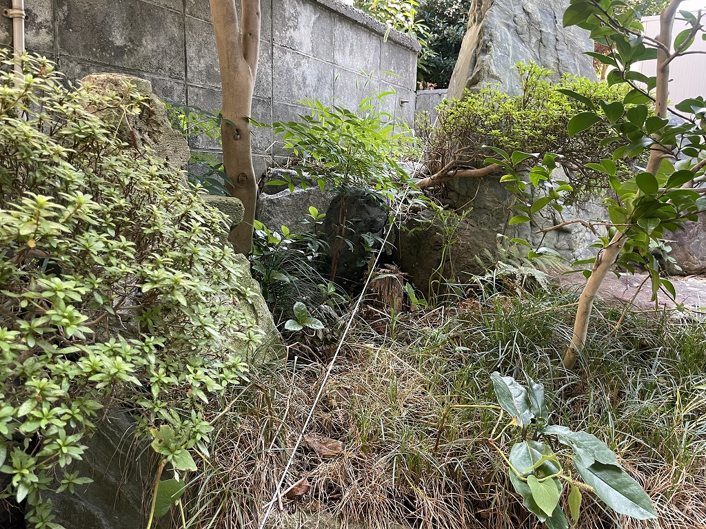 庭じまい ブロック塀解体 補強 狭小地 狭い土地